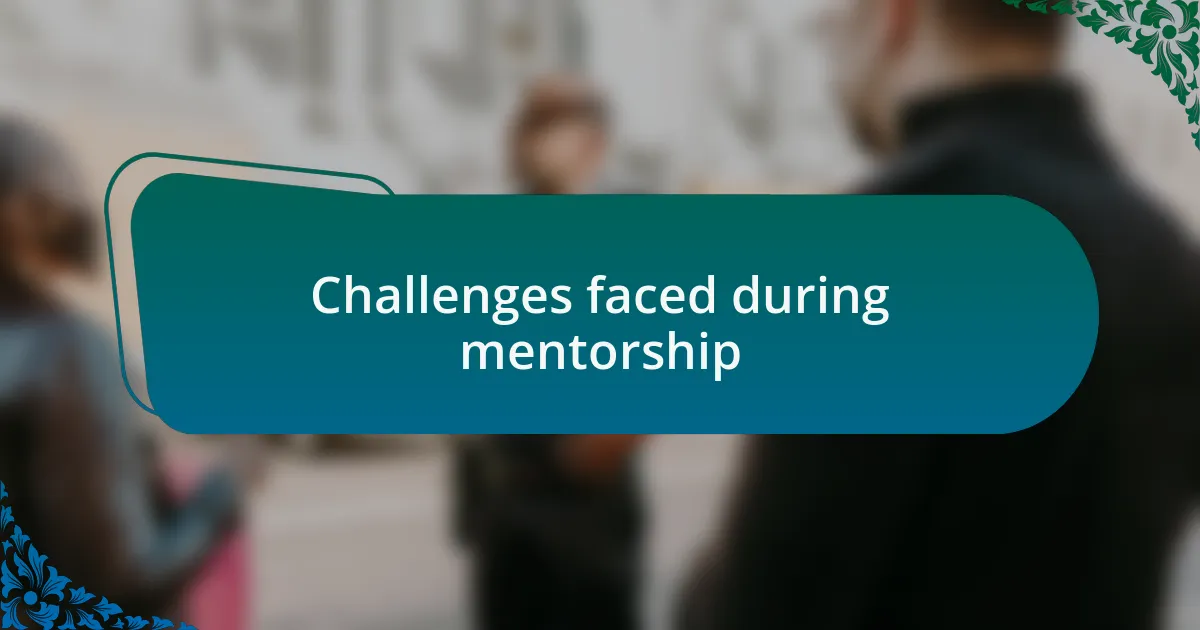 Challenges faced during mentorship