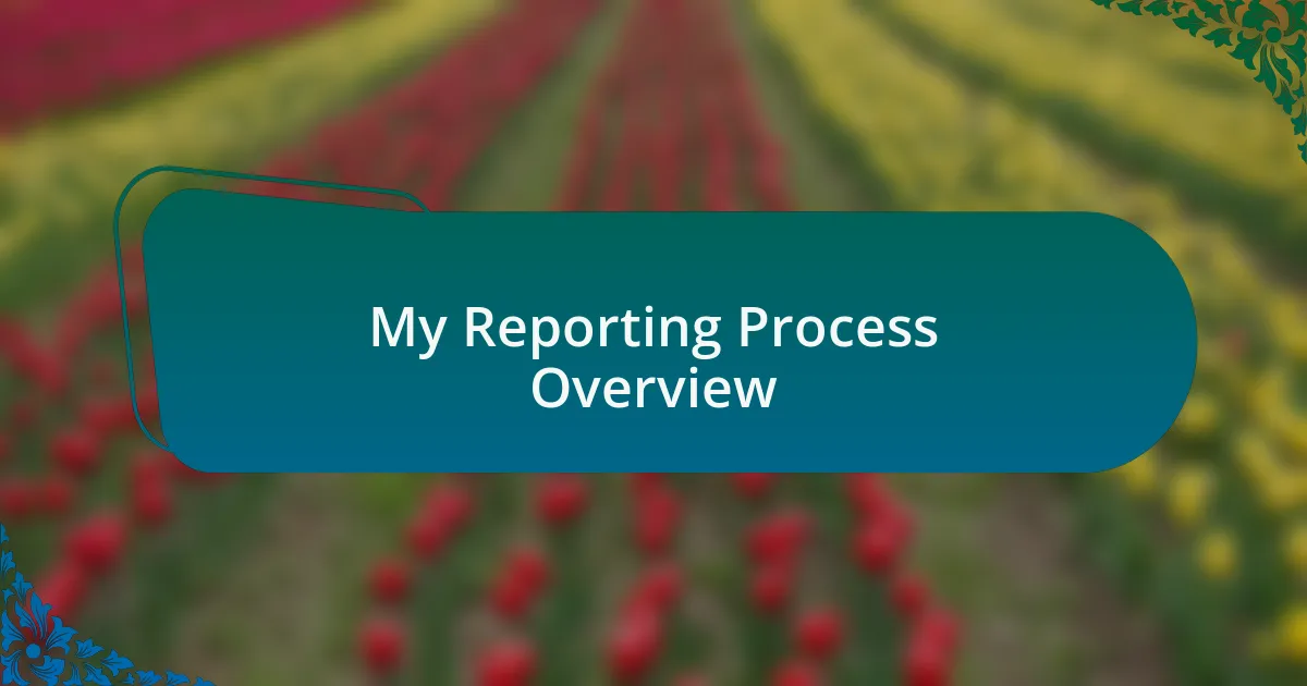 My Reporting Process Overview